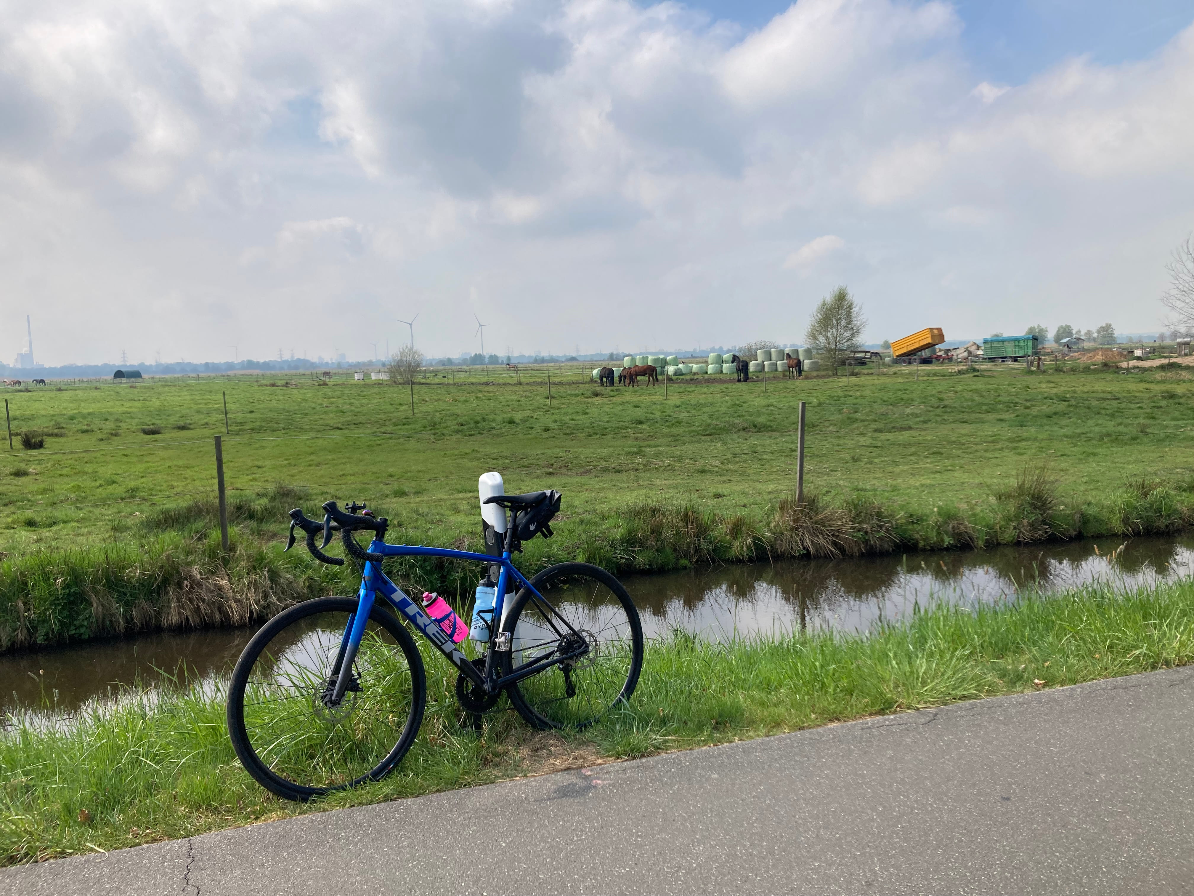 My blue Trek Domane leaning on a short, white post next to a small canal. Behind in the background is a lot of grass and some horses in the distance as well as two vehicles of which one is carrying a big yellow container